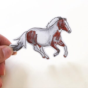Sticker cheval peint en vinyle. Fait main, cadeau équestre, Sticker cheval, Stickers ordinateur portable, journaux, scrapbooking, poney, décalcomanie, cadeau pour amoureux des chevaux