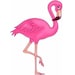 Propietario de <a href='https://www.etsy.com/mx/shop/ParisPinkFlamingo?ref=l2-about-shopname&from_page=listing' class='wt-text-link'>ParisPinkFlamingo</a>