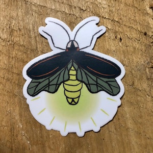 Summer Memories Firefly Lightning Bug Sticker Reminder to Live a Life That Lights You Up