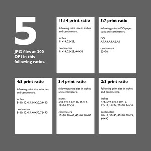 May include: A chart showing different print ratios for JPG files at 300 DPI. The chart lists the ratios, the corresponding print sizes in inches and centimeters, and the ISO paper sizes for the 5:7 ratio.
