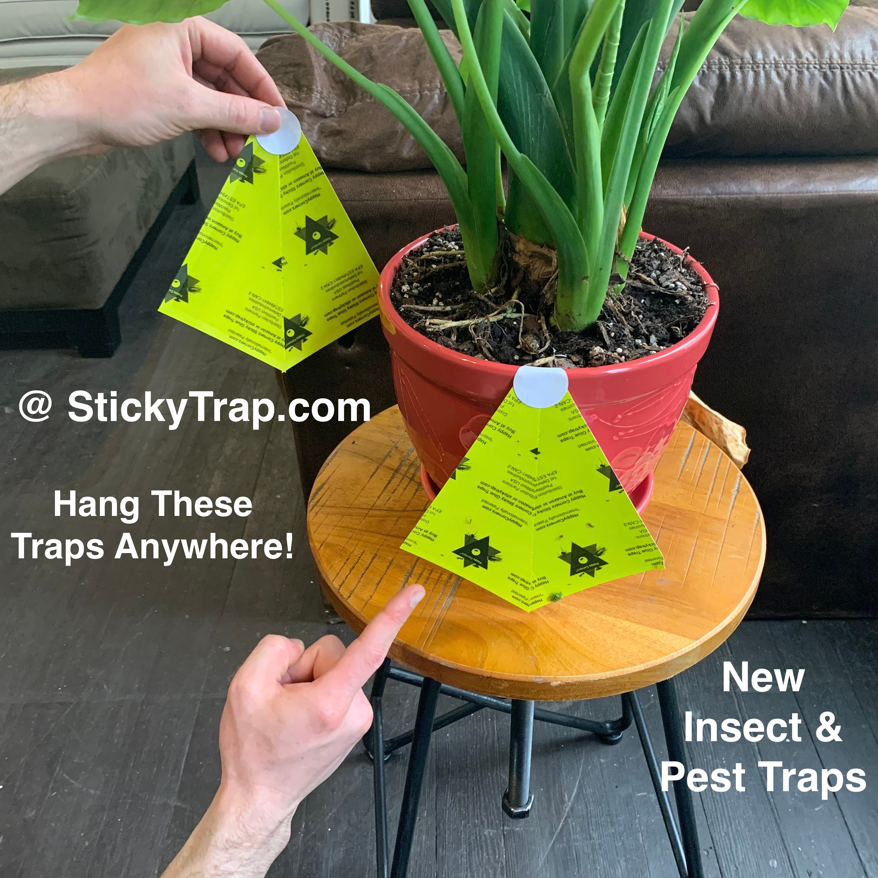 DIY Pest Control Traps New 5in1 by Happy Cornerz® Etsy