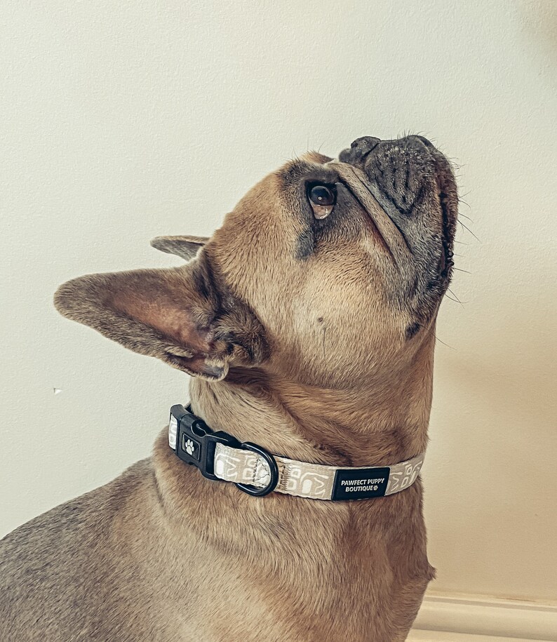 Buy Dog Collar Adjustable Dog Collar Pawfect Puppy Boutique Online in