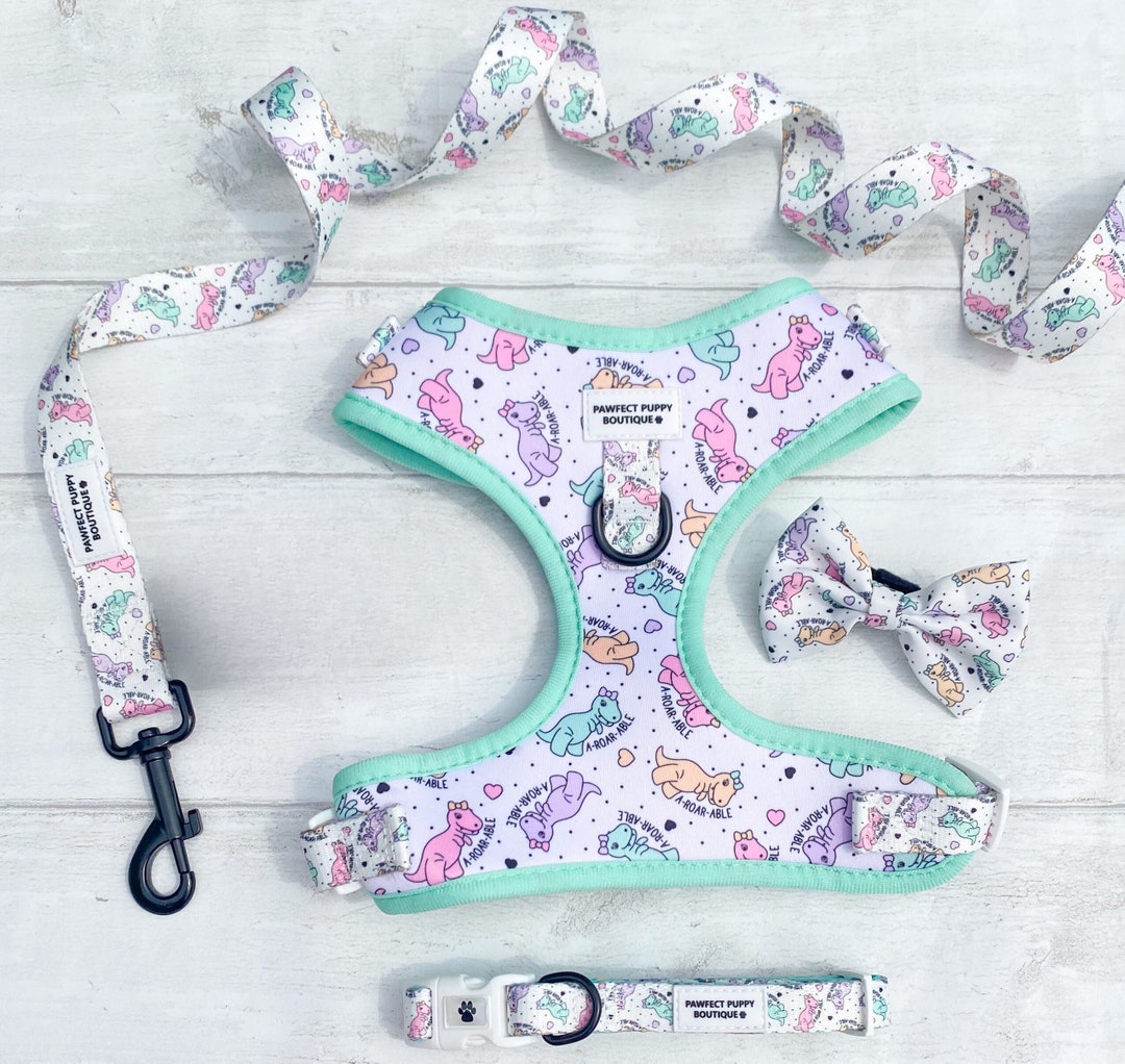 Dog Harness 4PC Set Harness Lead Collar Bowtie Dog Etsy