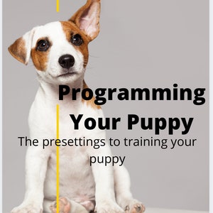 Può includere: Copertina di un libro con un cucciolo di Jack Russell Terrier con segni marroni e bianchi. Il titolo è "Programming Your Puppy", con il sottotitolo "The presettings to training your puppy". Il nome dell'autore, Patrice Ransby, è in basso.
