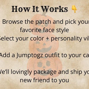 Graphic showing steps to adopt a plush: pick a face style, choose color and personality, add optional jumptogz outfit. Friendly adoption instructions.