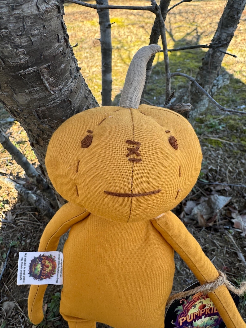 A handmade plush pumpkin doll with a stitched face and a brown stem. The doll is wearing a brown fabric tag that says 'Pumpkidz'.