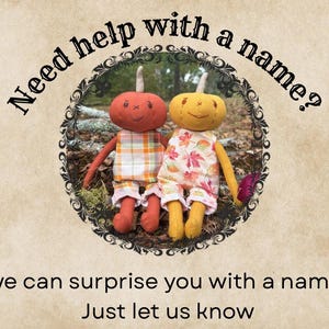 Fun slide offering help naming your adopted plush. Mentions option to surprise you with a name or message seller with ideas.