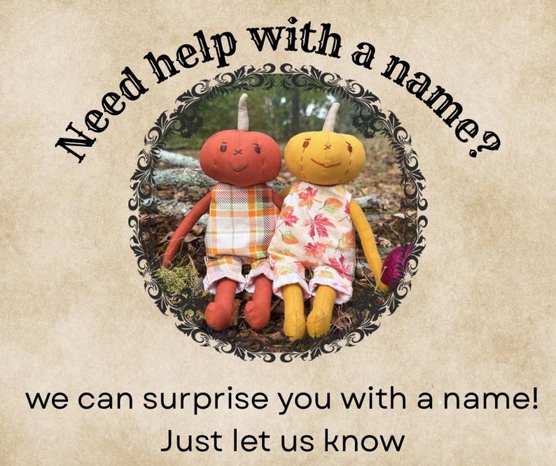 Fun slide offering help naming your adopted plush. Mentions option to surprise you with a name or message seller with ideas.