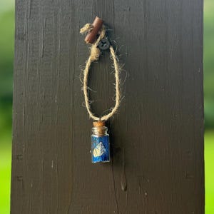Pumpkin Spirit Seed Necklace: Glitter Vial, Rustic Twine - Pumpkidz Collectible