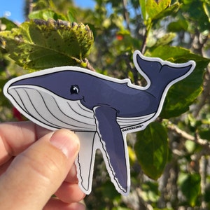 Cute Humpback Whale Sticker- 3&quot; | Whale Sticker | Dolphin Sticker | Humpback Whale Sticker | Hawaii Sticker