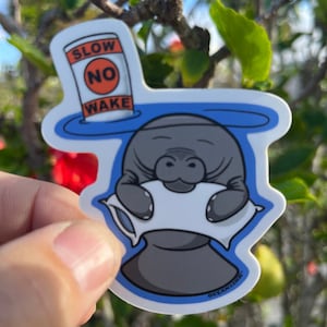 Cute Manatee Napping Sticker- 3&quot; | Manatee Sleeping Sticker | &quot;NO WAKE ZONE&quot; | Manatee Sticker |