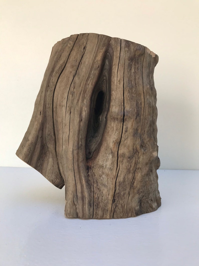 12 Manzanita Stump Manzanita Wood Aquarium Aquascape Etsy