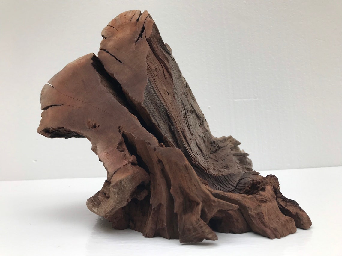 Large Manzanita Wood Aquarium Tank Amphibians Reptiles Etsy