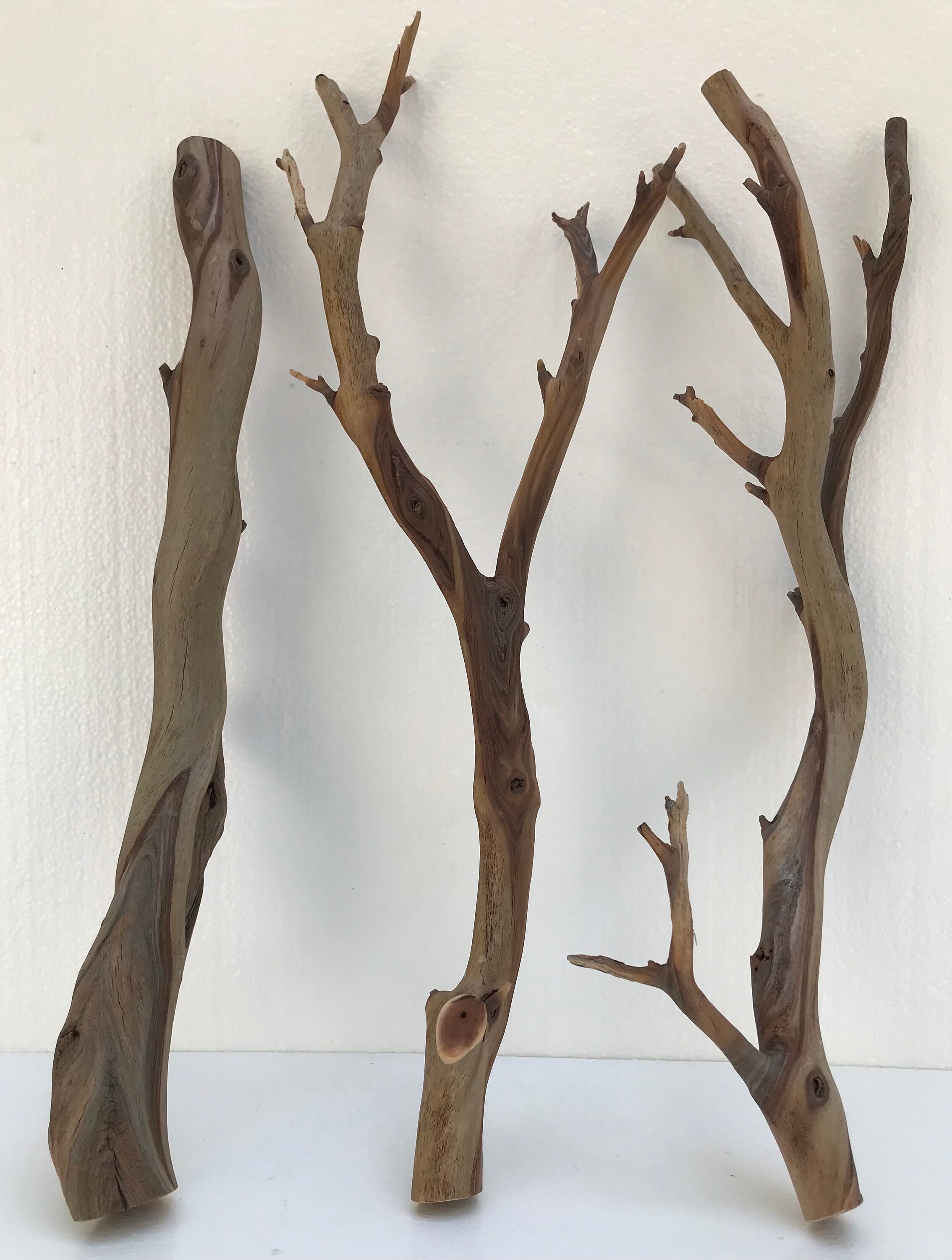 Set of 3 Manzanita Wood Branches Aquarium Terrarium Bird Etsy