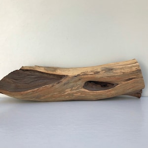 Natural Aquascape Hardscape | 14 inch California Manzanita Driftwood | Aquarium Terrarium Decor | Planted Tank Wood