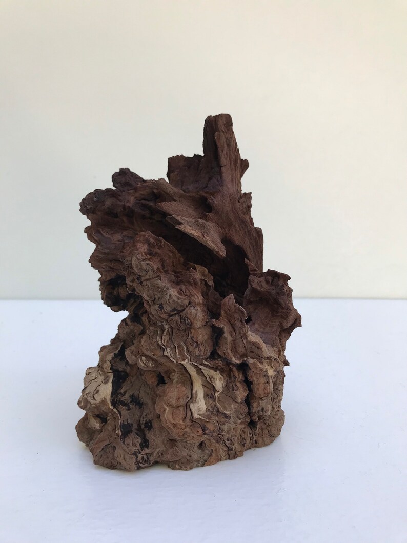 Manzanita Burl Manzanita Wood Aquarium Aquascape Wood Etsy
