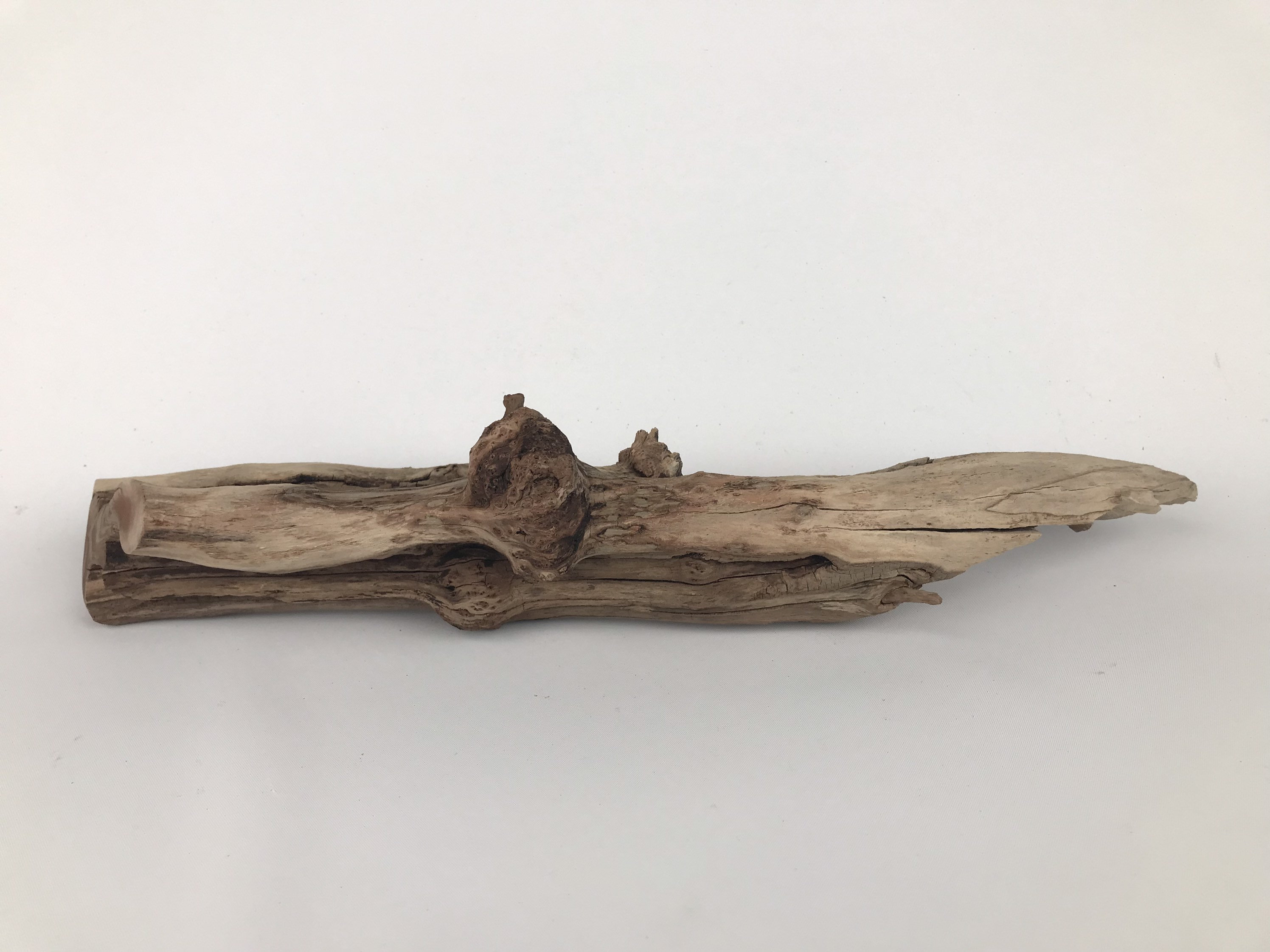 17 Manzanita Driftwood Aquarium Driftwood Manzanita Etsy