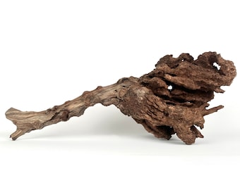 26-inch Manzanita Burl Driftwood | Large Aquascape Centerpiece | Natural Reptile Habitat Wood