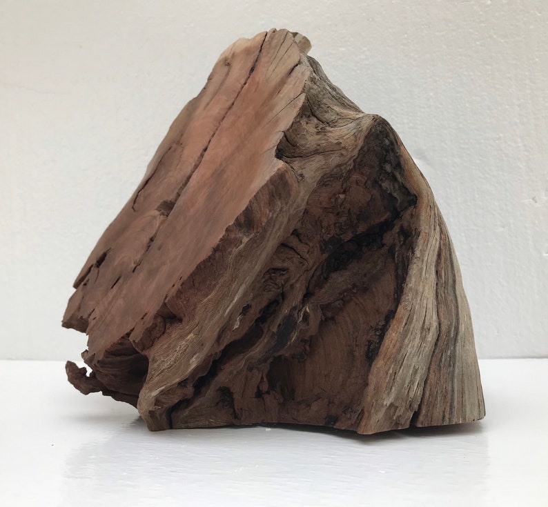 Large Manzanita Wood Aquarium Tank Amphibians Reptiles Etsy