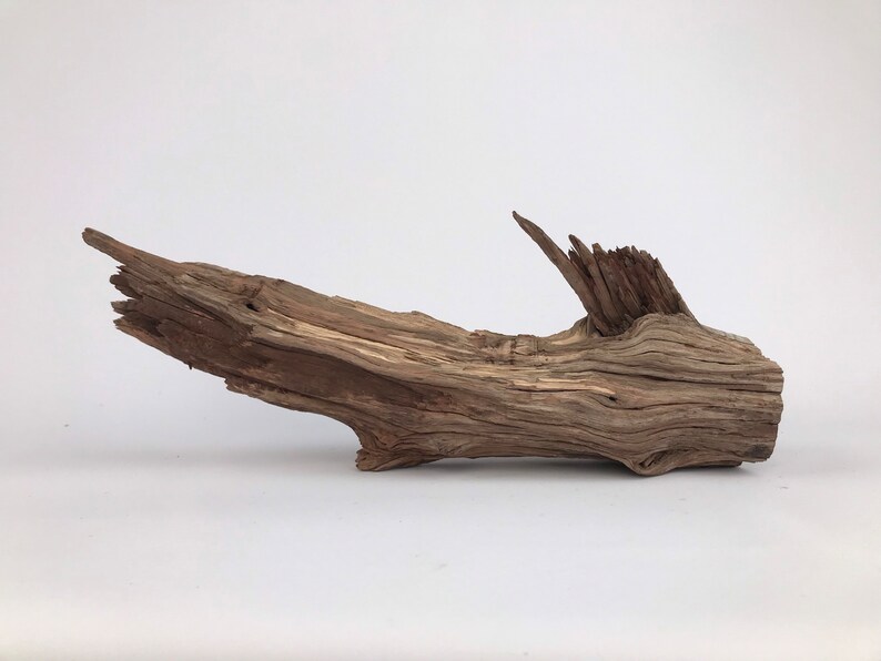 13 Manzanita Driftwood Aquarium Aquarium Driftwood Etsy