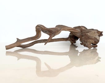 Manzanita Driftwood – 19 Inch Piece for Aquarium, Terrarium, Aquascape, and Air Plant Display