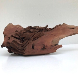 Natural Manzanita Wood | Authentic Aquarium Hardscape | Air Plant Terrarium Wood Decoration | Raw Aquascaping Material