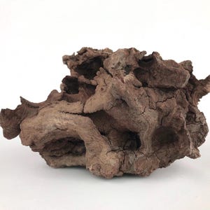7 inch Natural Manzanita Burl Wood - Aquarium Driftwood, Terrarium & Vivarium Decor, Reptile Habitat Decoration