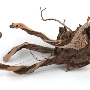 May include: A large, twisted piece of driftwood with a natural brown and gray color. The wood has a unique shape with a large, knobby section and several long, thin branches.