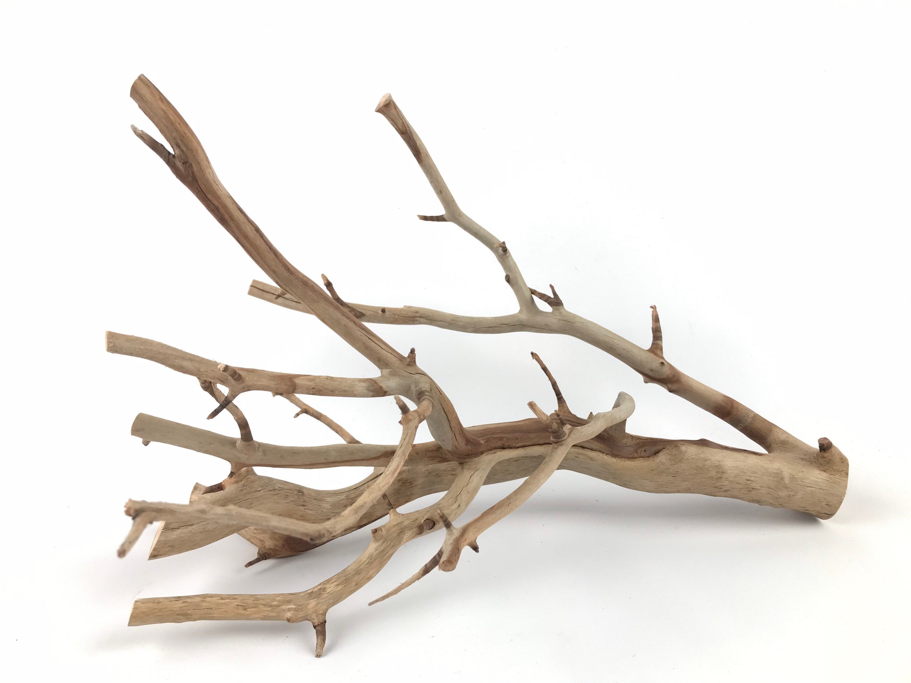 15 Manzanita Branch Driftwood Manzanita Wood Aquarium Etsy