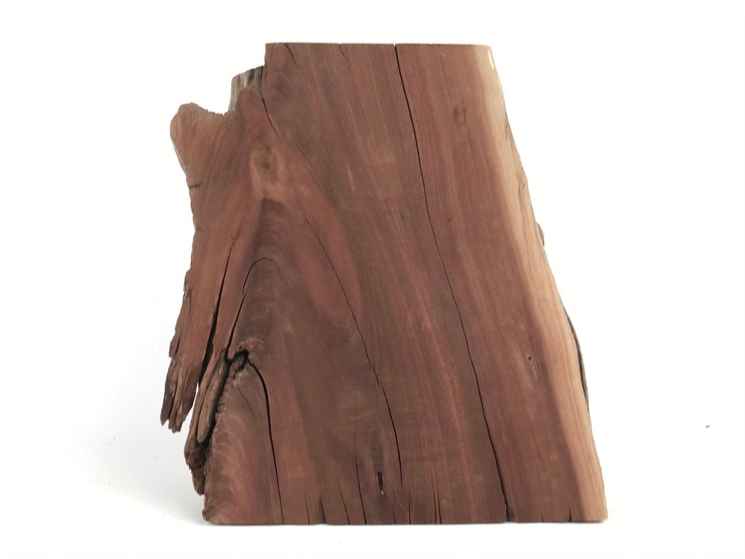 8 Manzanita Stump Decor Vivarium Wood Home Decor Etsy