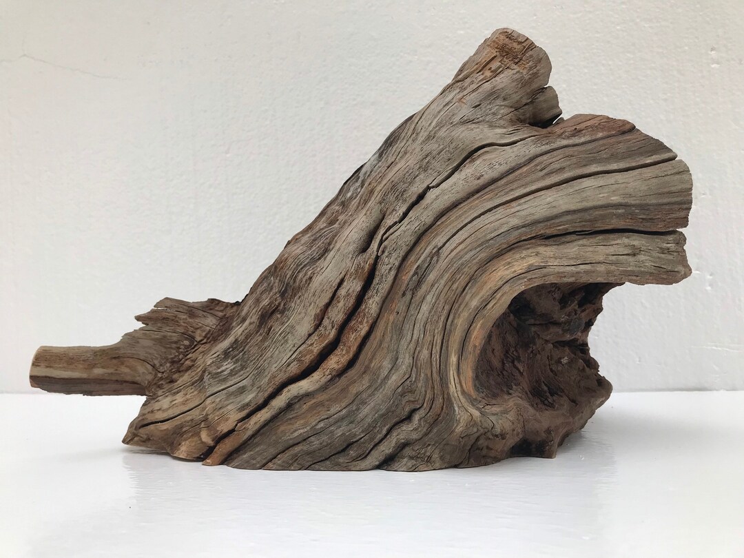 Large Manzanita Wood Aquarium Tank Amphibians Reptiles Etsy