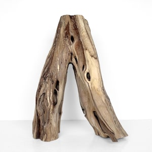 Nature Aquarium Manzanita Hardscape | 18 inch Live Edge Plant Terrarium Wood Decoration | Aquascaping Material
