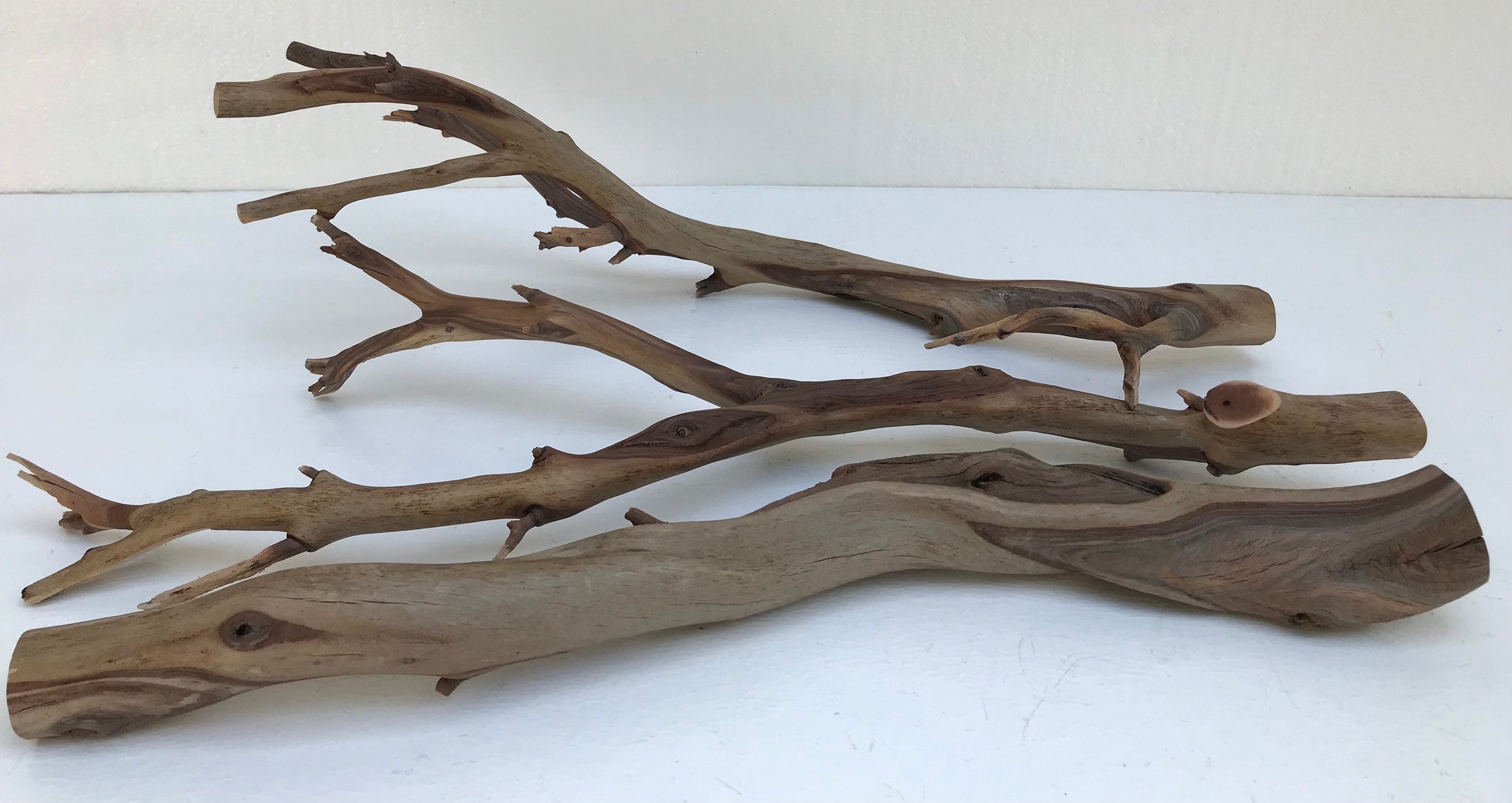 Set of 3 Manzanita Wood Branches Aquarium Terrarium Bird Etsy