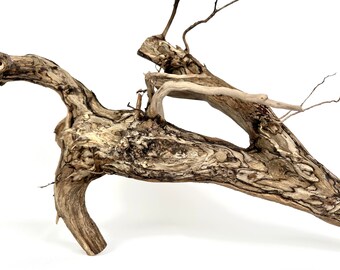 Natural Manzanita Root for Aquarium, Terrarium Decor - Raw Driftwood, Reptile Habitat Decoration