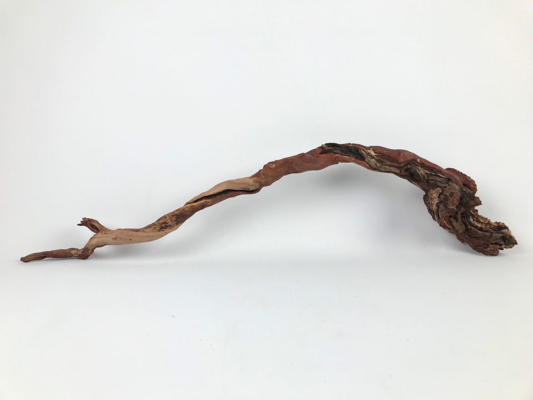 28 Manzanita Root, Manzanita Driftwood, Mountain Driftwood, Aquascape