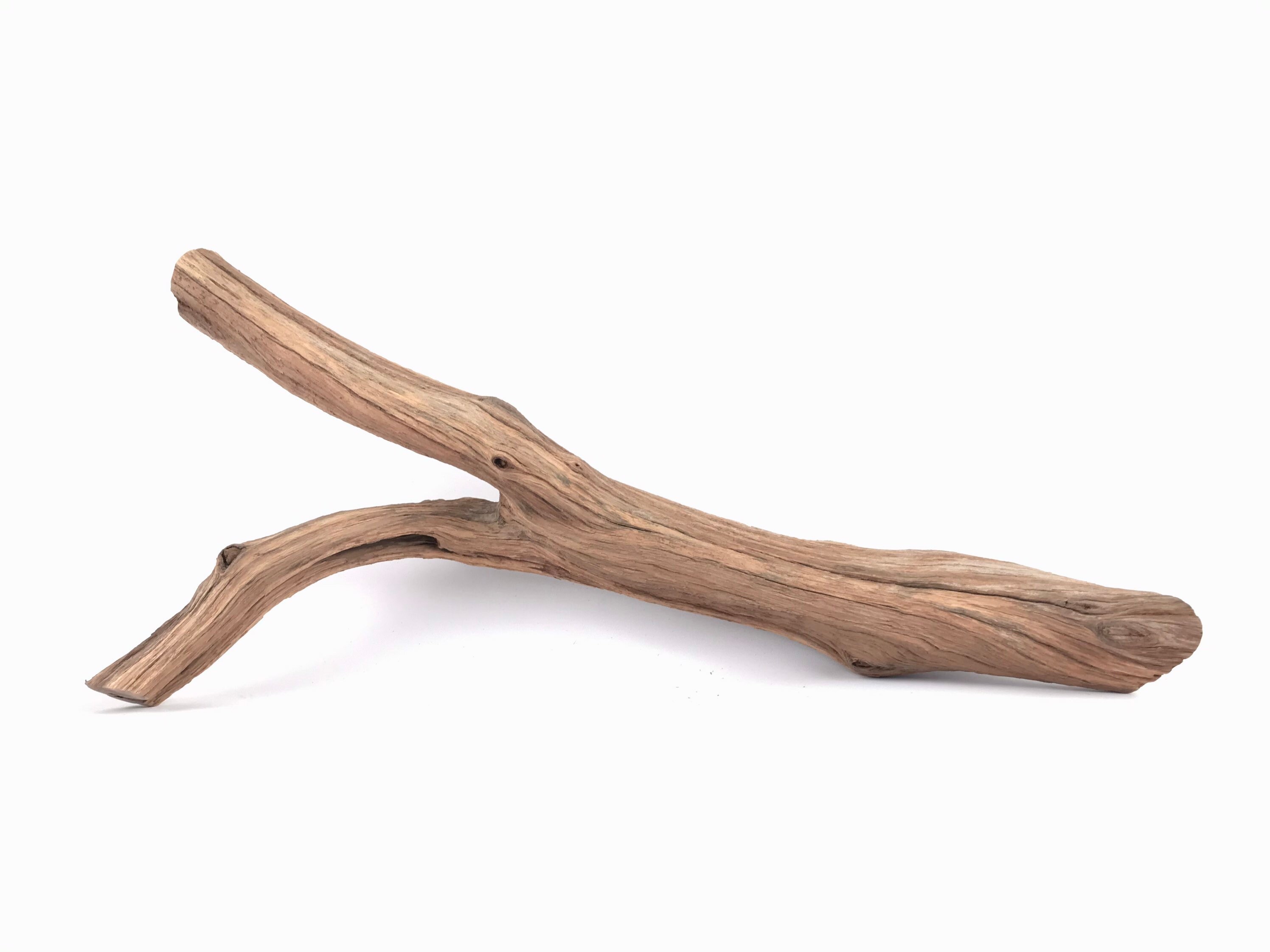 18 Manzanita Branch Reptile Wood Aquascape Wood Air Etsy