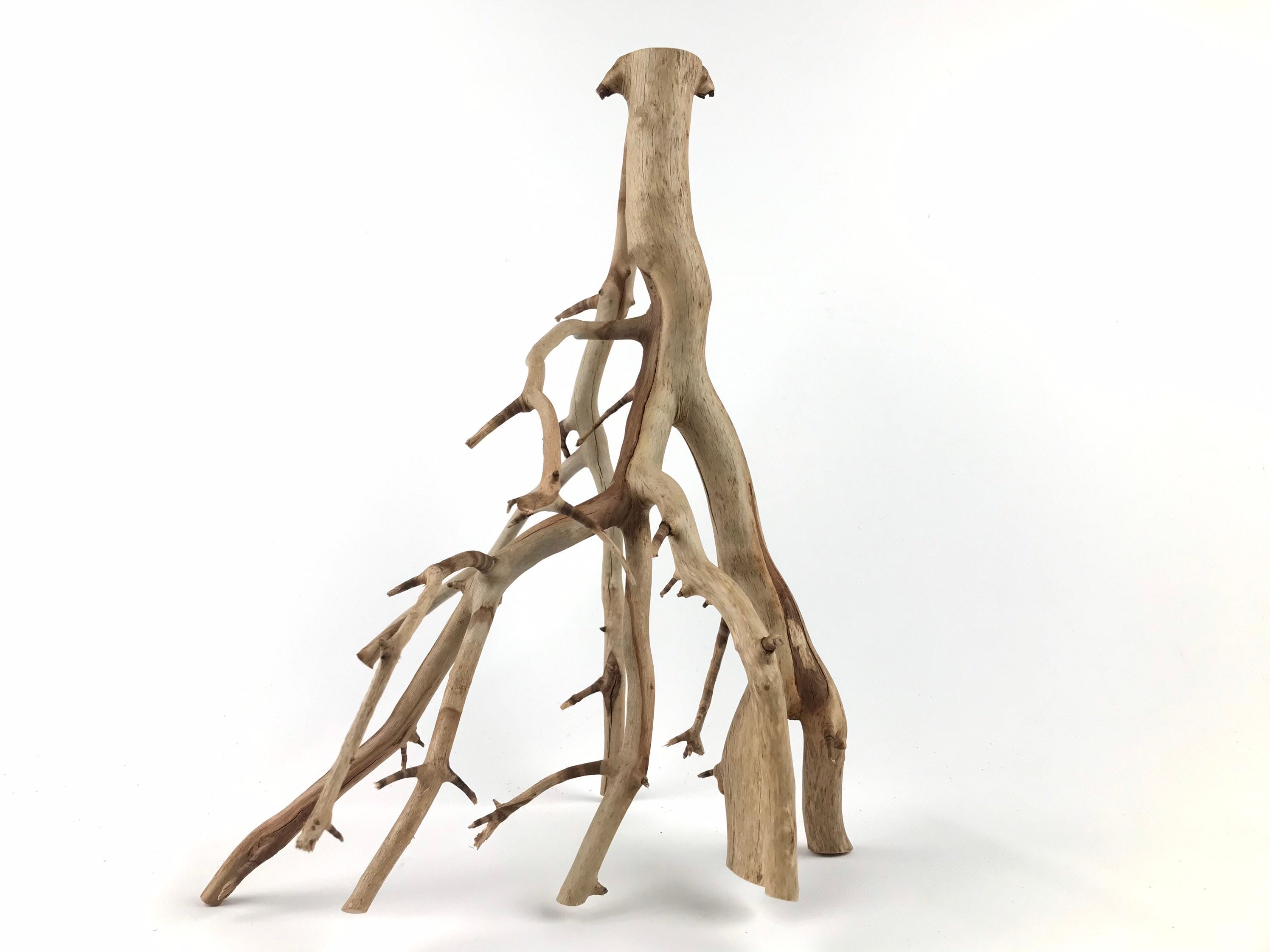 15 Manzanita Branch Driftwood Manzanita Wood Aquarium Etsy