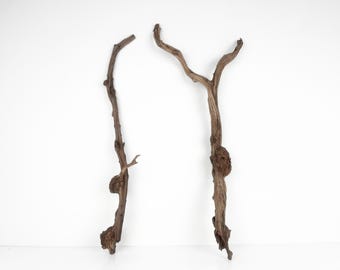 Large Manzanita Driftwood Bundle (2pc) - Natural Aquarium & Plant Display Wood