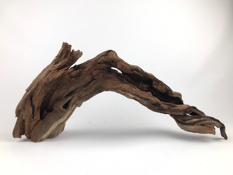 24 Manzanita Stump With Root Aquarium Driftwood Etsy