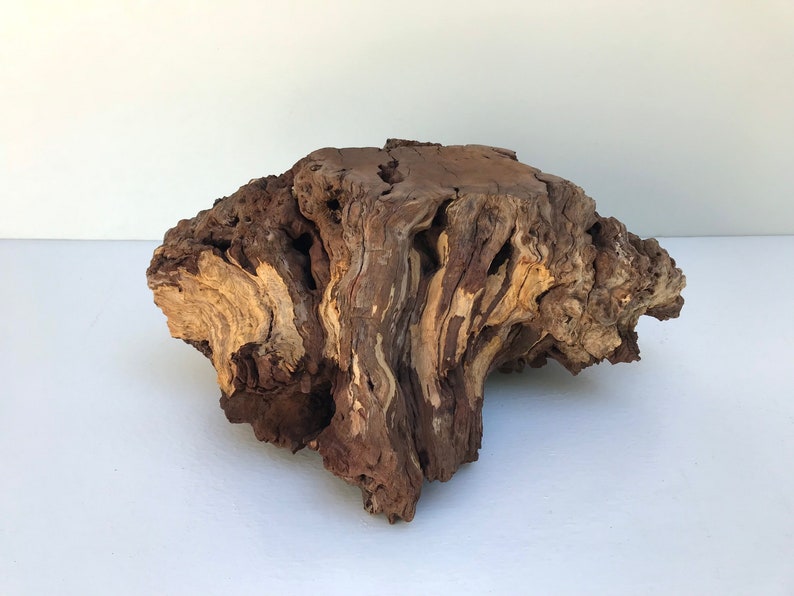 Large Manzanita Wood Burl Manzanita Centerpiece Terrarium Etsy