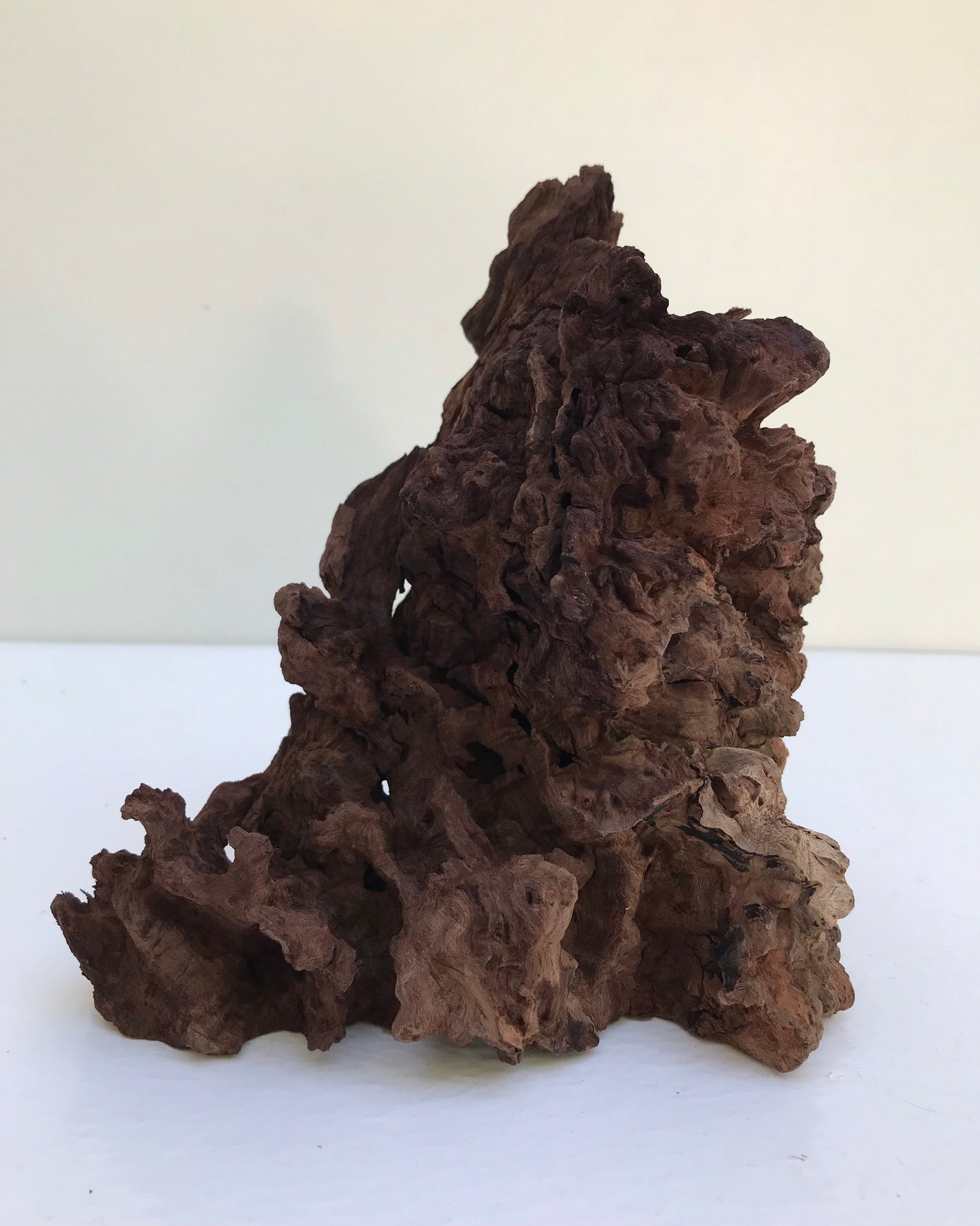 Manzanita Burl Manzanita Wood Aquarium Aquascape Wood Etsy