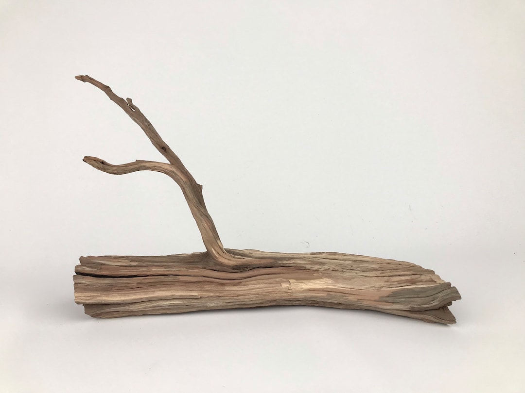 11 Manzanita Driftwood, Aquarium Driftwood, Manzanita Wood Aquarium