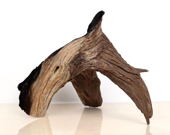 20 inch Manzanita Driftwood – Natural Aquarium & Terrarium Decor