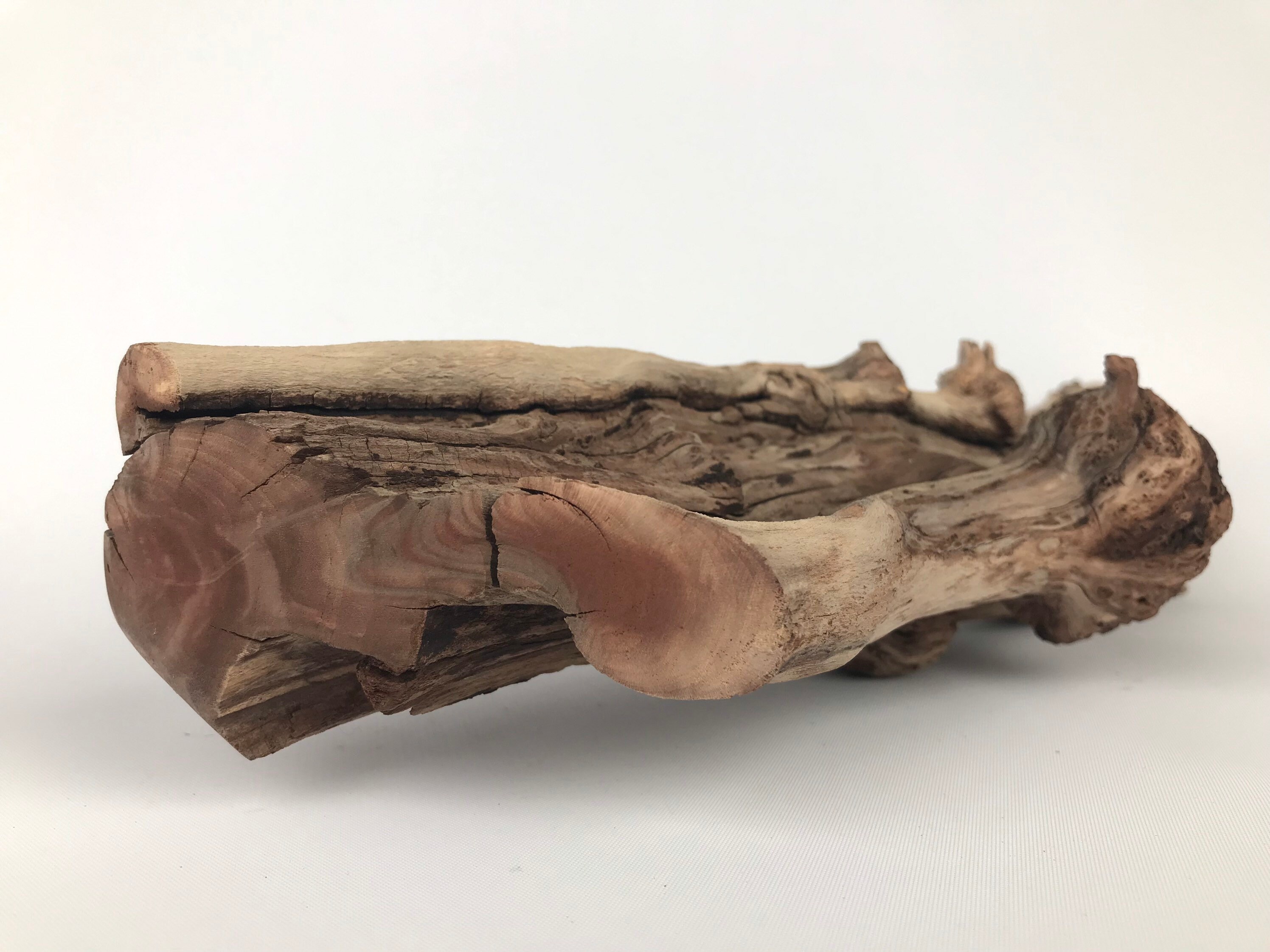 17 Manzanita Driftwood Aquarium Driftwood Manzanita Etsy