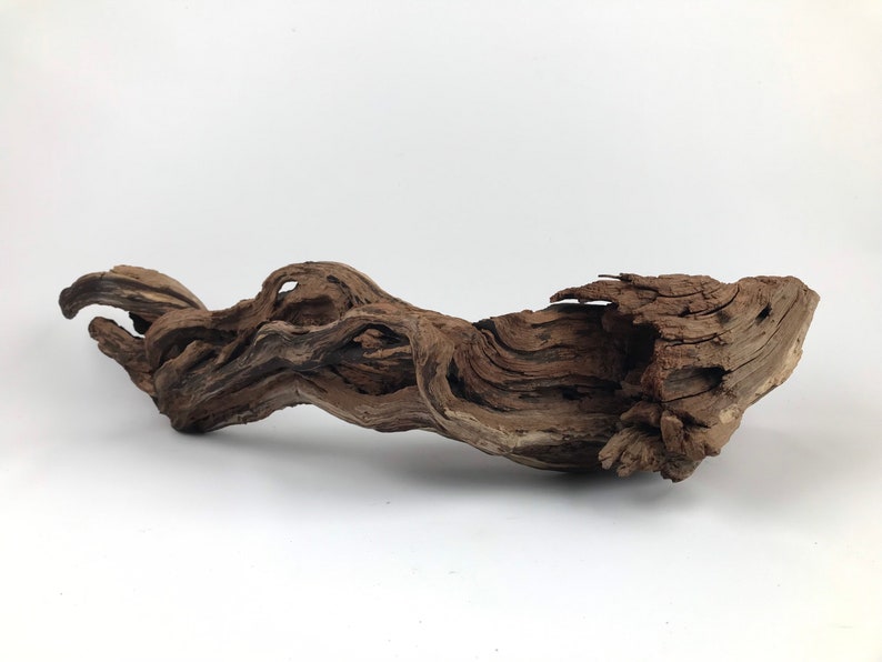 24 Manzanita Stump With Root Aquarium Driftwood Etsy