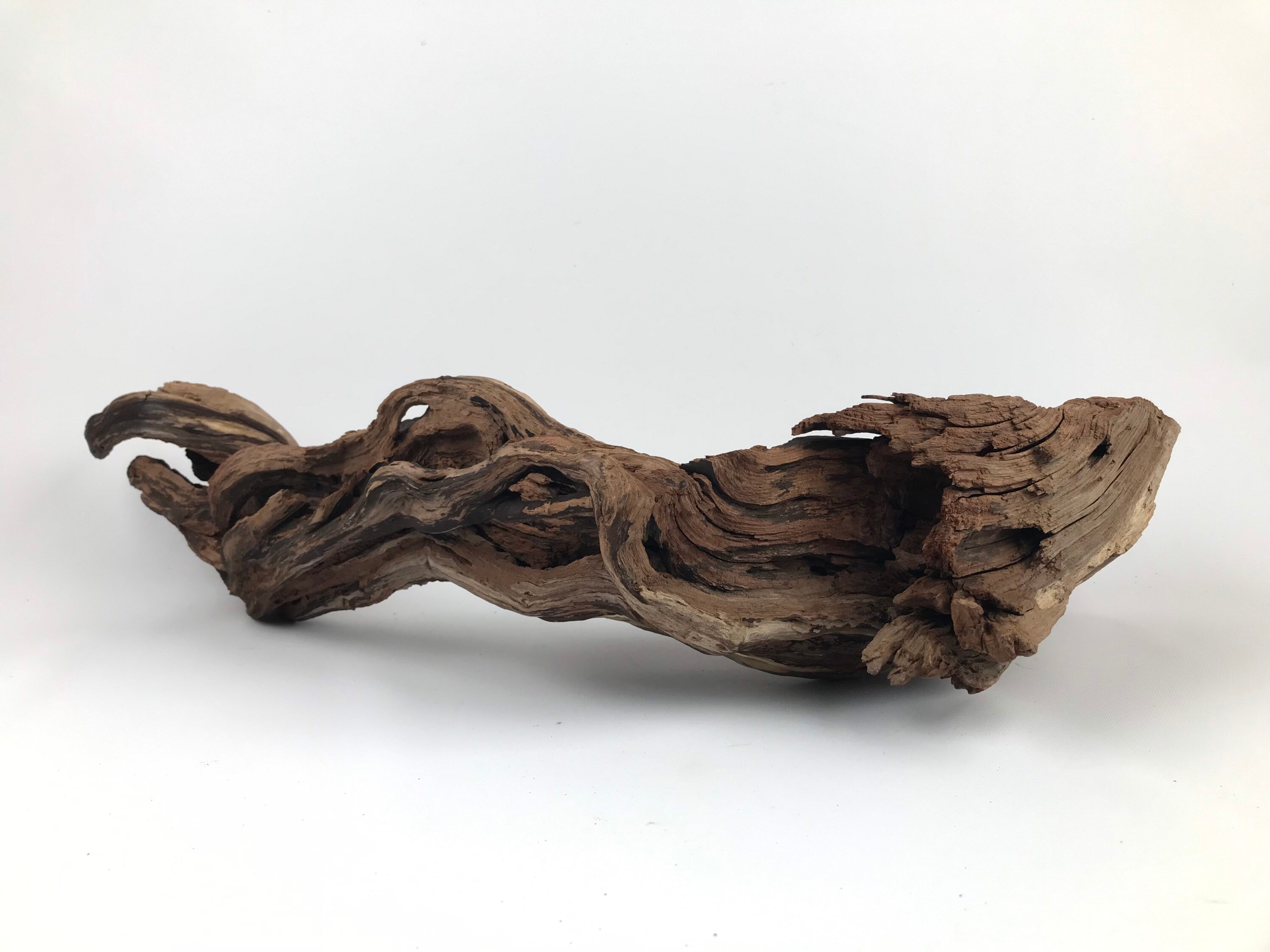 24 Manzanita Stump With Root Aquarium Driftwood Etsy
