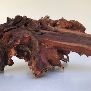 California Manzanita Aquarium Driftwood: 10-inch Aquascape Centerpiece