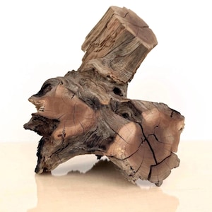 10 inch Aquarium Driftwood Manzanita - Premium Fish Tank Decoration for Planted Aquascapes and Terrariums