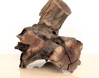Manzanita Driftwood – Natural Aquarium & Terrarium Decor (10 Inch)