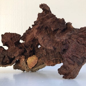 Aquascape Hardscape Manzanita for Aquarium | 16 inch Nature Aquarium Driftwood | Fish Tank Decor | Air Plant Terrarium